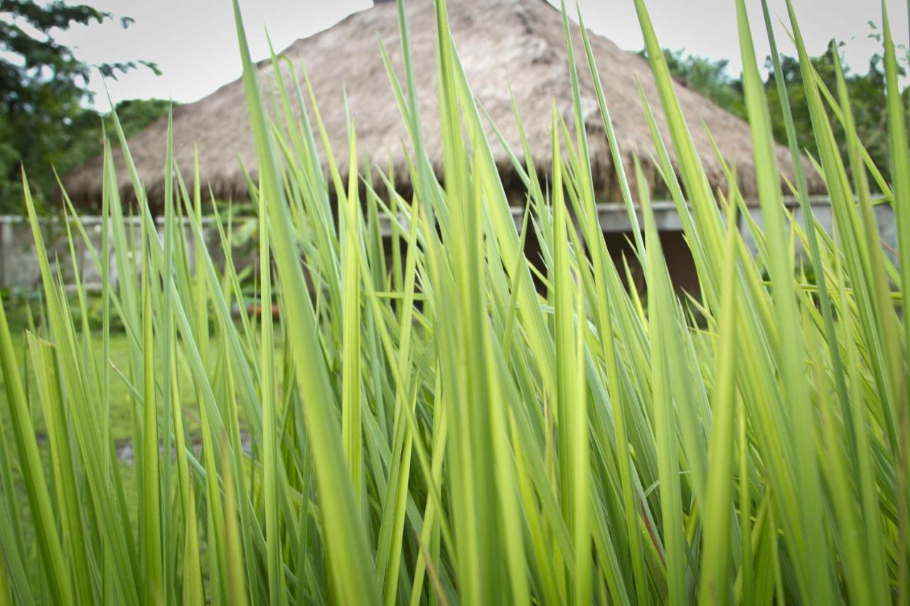 Calvary Home Mae Rim Exterior photo